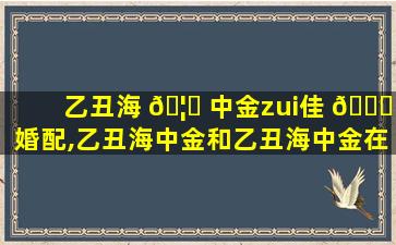 乙丑海 🦉 中金zui
佳 🐕 婚配,乙丑海中金和乙丑海中金在一起好吗